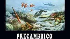 Timeline: ERAS GEOLÓGICAS