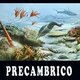 Descarga