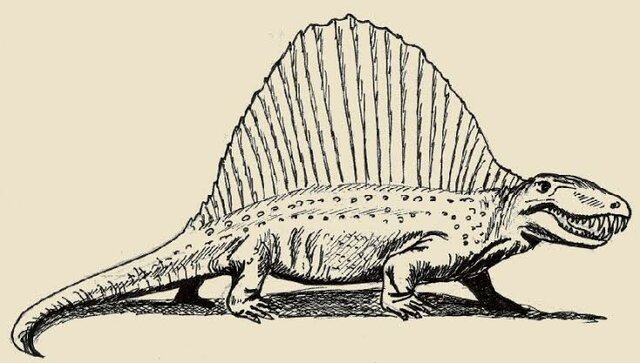 Era Paleozoica