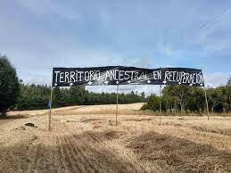 Aumento  de tomas de terrenos en la Macrozona Sur. En los meses de enero y febrero de 2021 se ha incrementado las tomas de terreno en los sectores de nueva imperial y Lautaro, elevándose el número de predios tomados a más de 120.