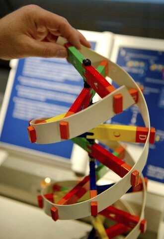 Establecimiento de la DIR