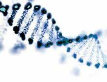 Establecimiento del CIDR