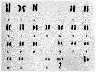Primer cromosoma humano decodificado