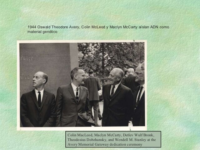 Oswald Avery, Colin Macleod y Maclyn Mccarty