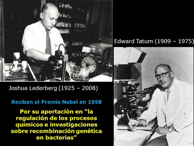Joshua Lederberg y Edward Tatum