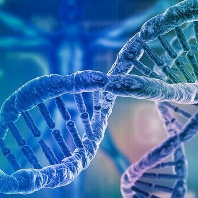 Timeline: Historia formal del Proyecto del Genoma Humano, Premios Nobel y Enfermedades genéticas no ligadas al sexo.