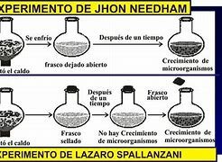EXPERIMENTO DE Spallanzani