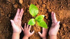 Timeline: HISTORIA DE LA EDUCACIÓN AMBIENTAL