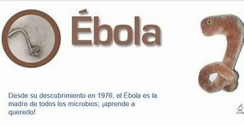 El descubrimiento del ébola