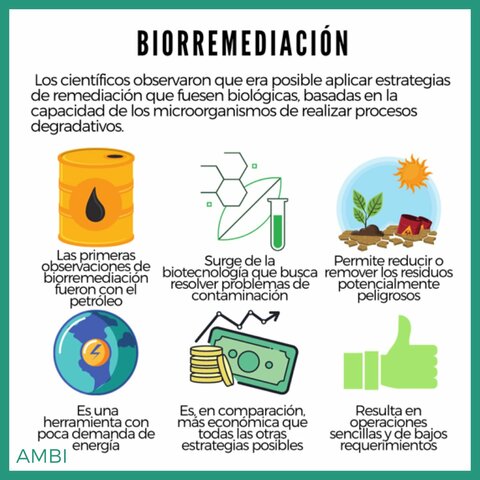 Biorremediación: Utilización de microbios para eliminar contaminantes