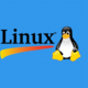 Linux logo