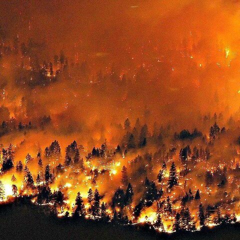 British Columbia Wildfires.