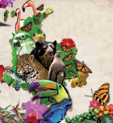 Dia internacional de la diversidad biologica