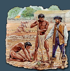 Configuración de la ciudad, del ejido (tierras comunales) y chacras