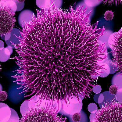 Timeline:  los virus