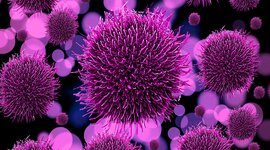 Timeline:  los virus