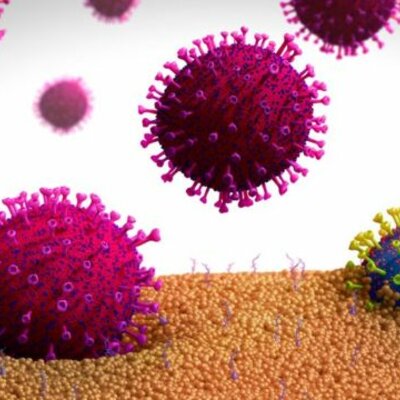 Timeline: evolucion de los virus