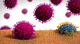 Timeline: evolucion de los virus