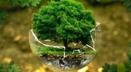 Timeline: Historia de la Educación Ambiental