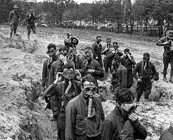 battle of bolimov / eastern front