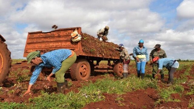 Rómulo Betancourt promulgó la Ley de Reforma Agraria.