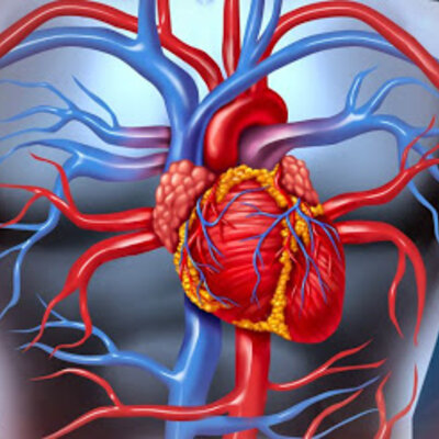 Timeline: Sperimentazione Umana