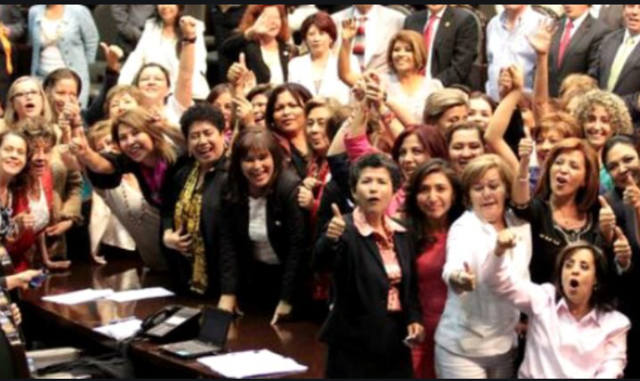 Ley de Cuotas 581 de 2000