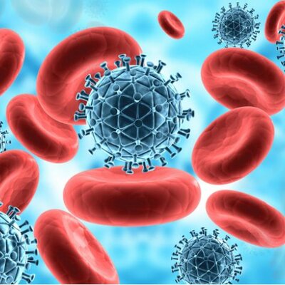 Timeline: Línea del tiempo linfocito T