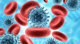 Timeline: Línea del tiempo linfocito T