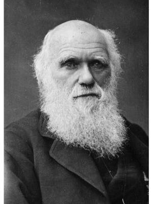 Charles Darwin