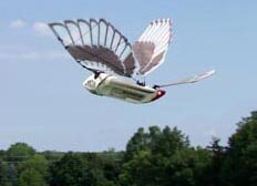 Ornithopter