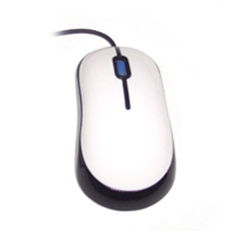 The Computer Mouse