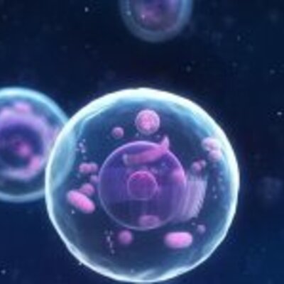 Timeline: Biología Celular