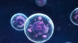 Timeline: Biología Celular