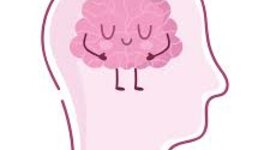 Timeline: Développement du cerveau