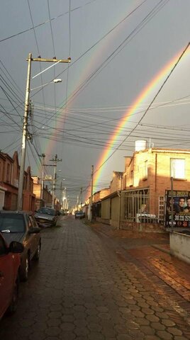 Fin de la Educación Primaria