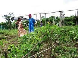 DECRETO 1745 DE 1995  (octubre 12)  Diario Oficial No 42.049, del 13 de octubre de 1995