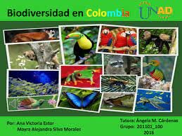 1998: Biodiversidad Siglo XXI