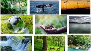 1999: Conferencia de la UNESCO y el banco mundial