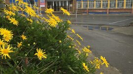 Timeline: ACTIVIDAD 10. TIMETOAST