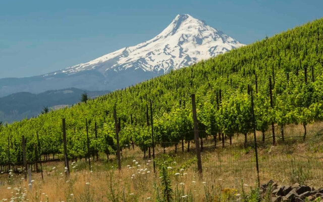 WWCC; The enological and viticulture program