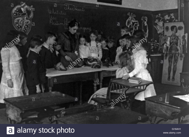 Proporción en escuelas de niñas y niños.