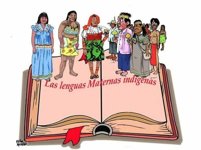 Educación propia para los indígenas y reconocimiento de la educación especial