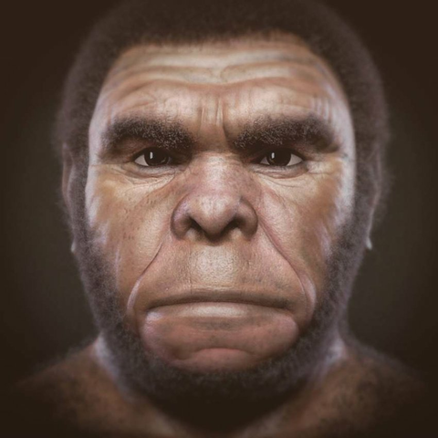Homo rhodesiensis.