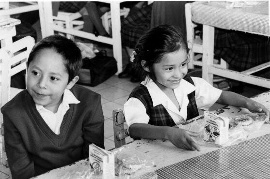 PROGRAMAS DE DESAYUNOS ESCOLARES