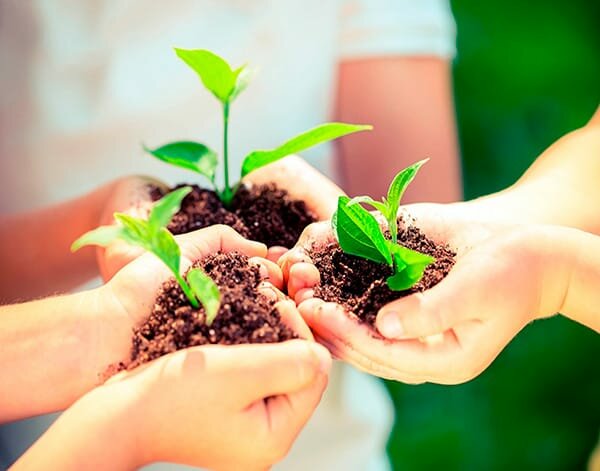 Consejo superior de educación ambiental.