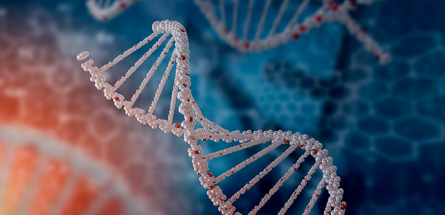 James Watson y Francis Crick