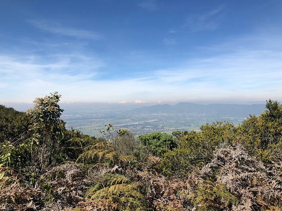 Ida a la montaña del oso