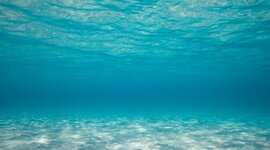 Timeline: Evolución de transporte Marítimo en México