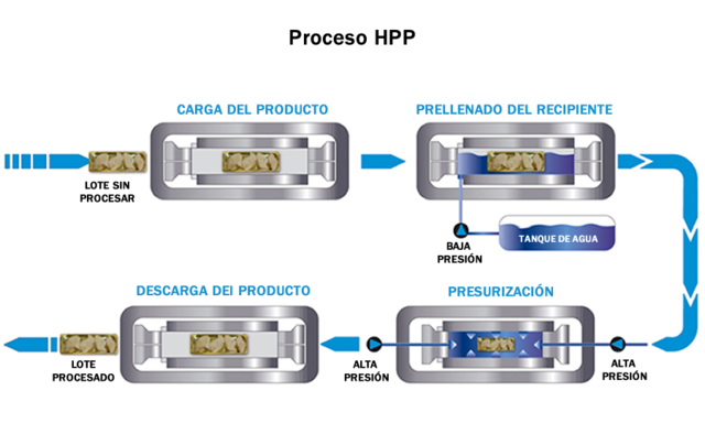 ALTA PRESION